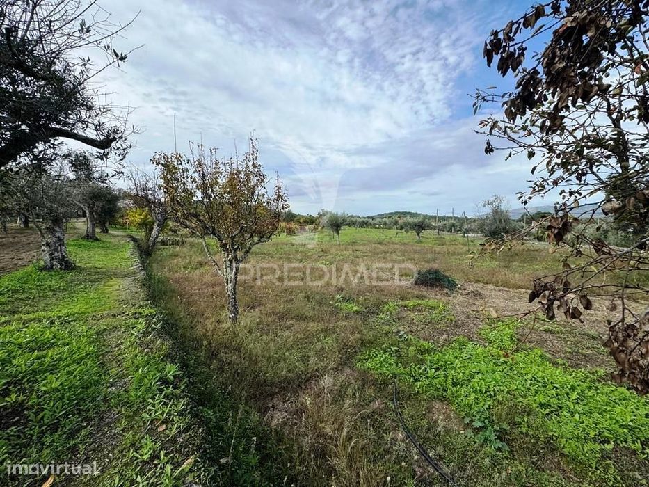 Quinta Rural T4