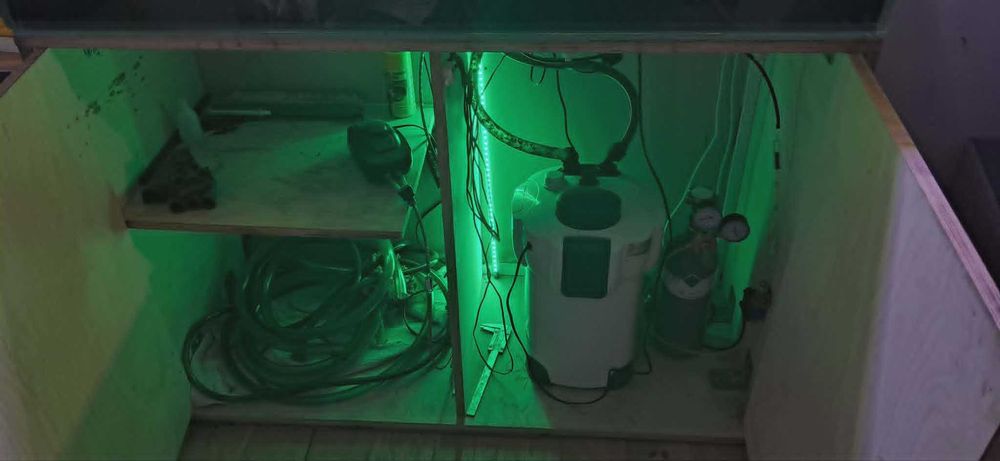 Akwarium OptiWhite 240l