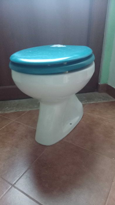Sanita com tampo azul
