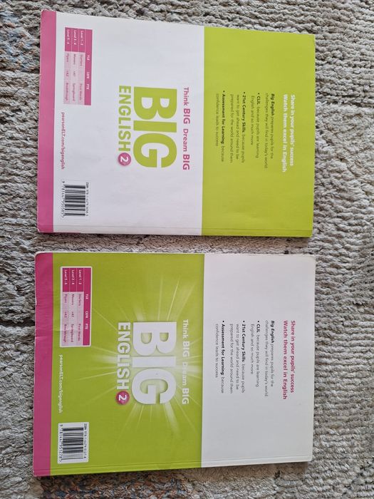 Big English 2 Pearson