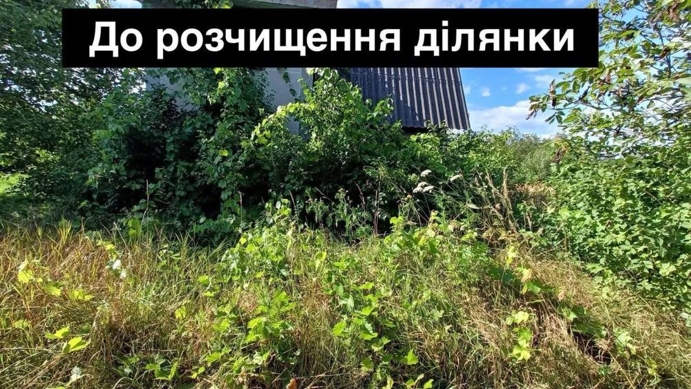 Покос трави, бурʼянів, густого чагарнику,загрібання трави, Покос травы и густого кустарника, очистка от сорняков,сгребание травы,вывоз и утилизация