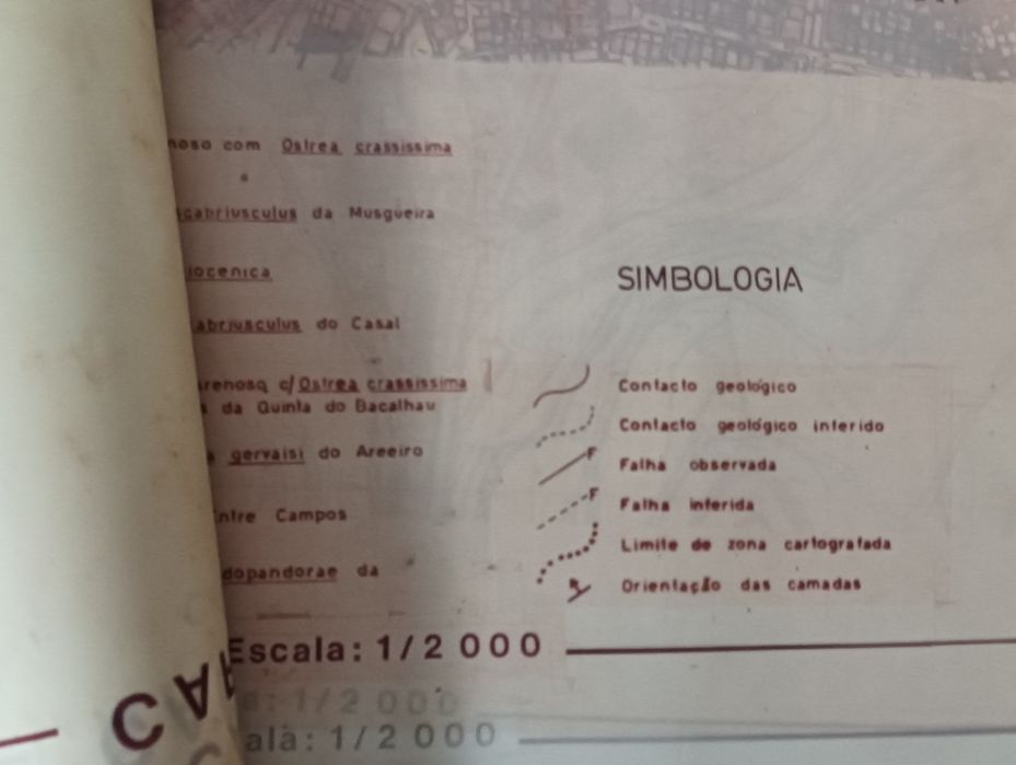 Carta geológica Trafaria