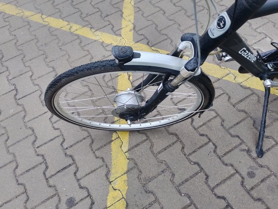 Rower gazele elektryk