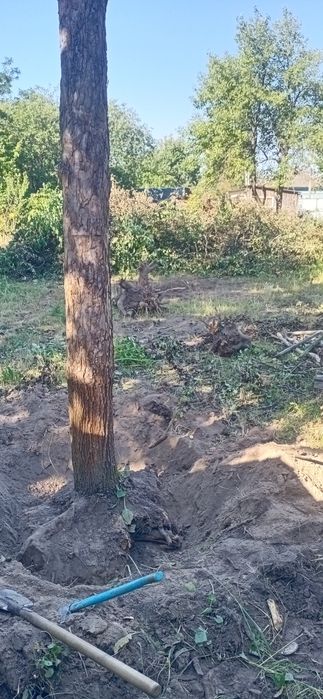 Расчистка територии,уборка и вывоз.