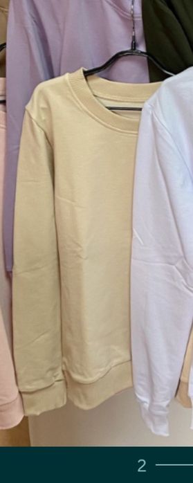 Жіночий  бежевий  світшот