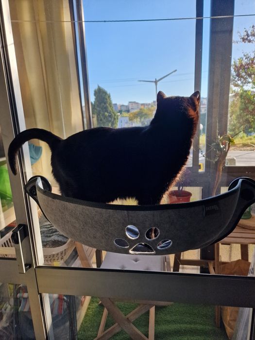 Cama de janela para gato
