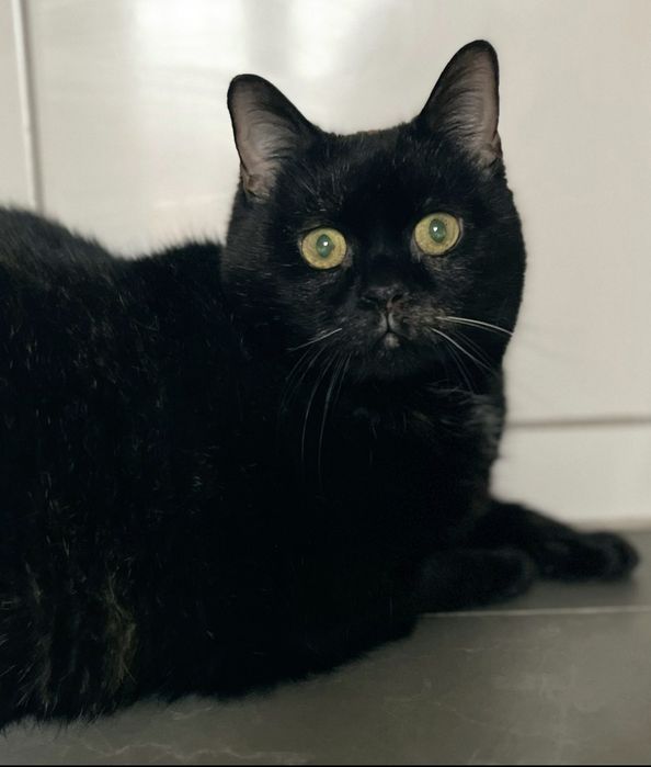 To Merry ...błagam o szansę dla niej ...