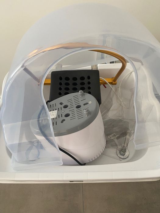 Head Spa profissional