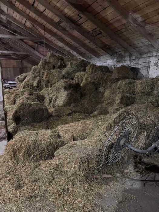 Продається сіно в тюках