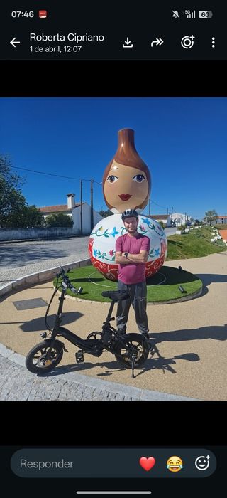 Fiido D3 Pro bike