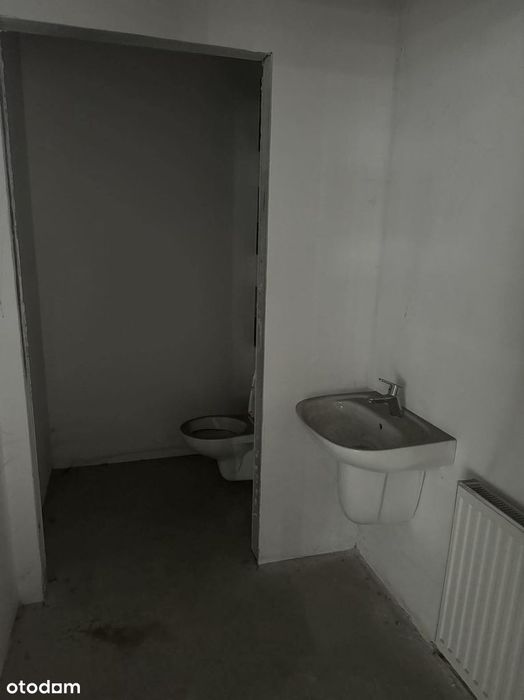 Zdjęcie 7