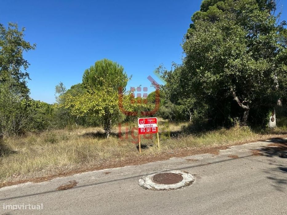 Terreno com Viabilidade de Construção - Ourém!64168411013633120