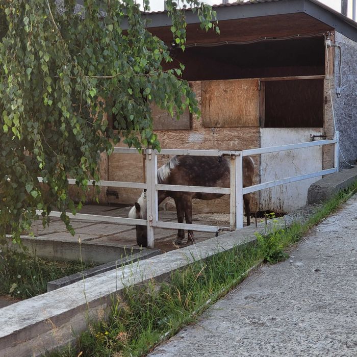 Дом по адресу ул. Капеланська (площадь 1,8 м²) - Atlanta.ua - фото 14