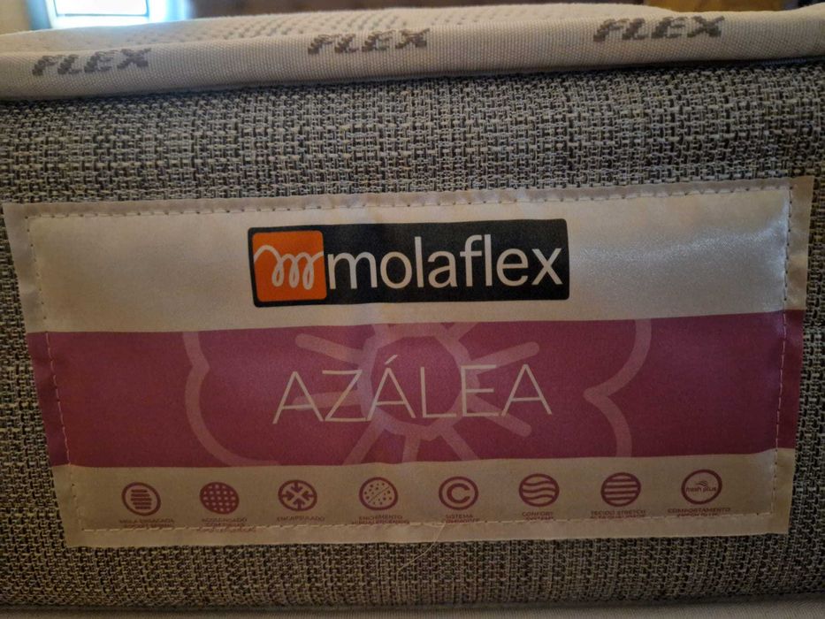 Colchão Molaflex