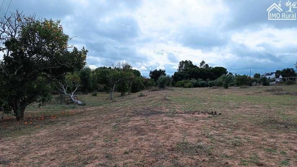 Quinta em Santarém (16,165HA)