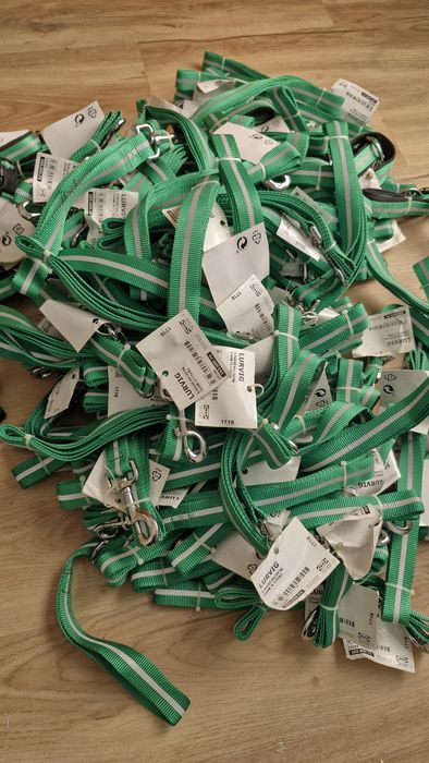 Coleira e Trela Cão