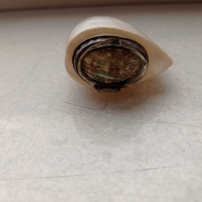 stara tabakiera wykonana z muszli, zdobiona, kobieca, VINTAGE!