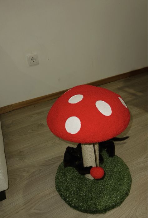 Arranhador gato novo