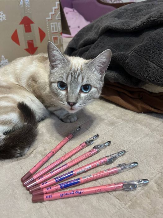 Олівець Glambee 110 111