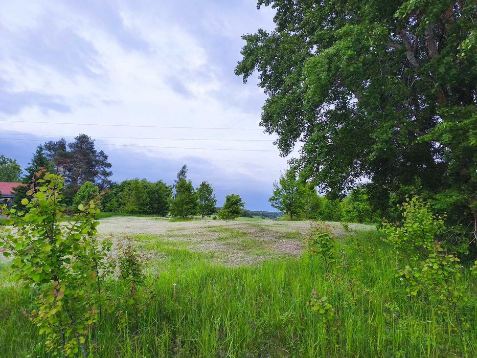 60 m od jeziora Juksty | MPZP | 1502 m² | Mrągowo - Widok 5