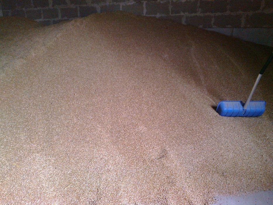 Sprzedam pszenżyto, jęczmień, owies, pszenica