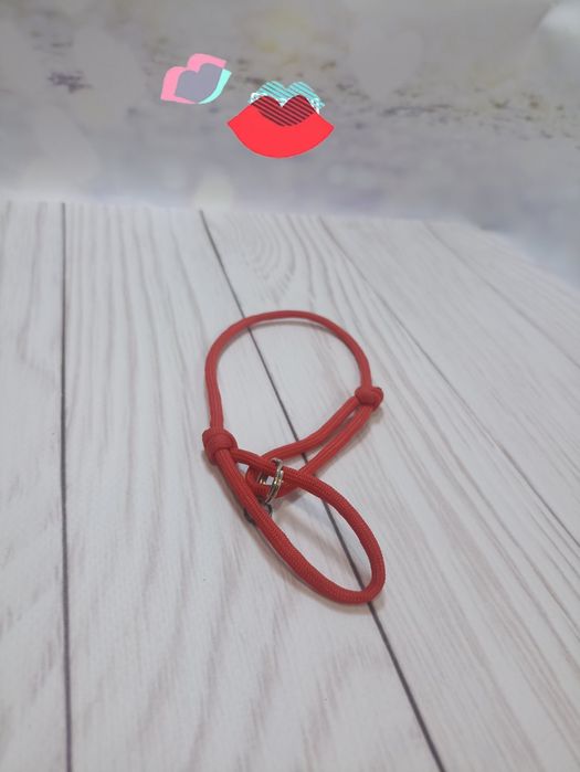 Шнурок  для домашнього улюбленця