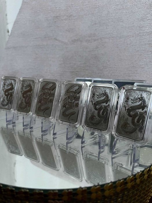 Австралійський дракон 2024-2025