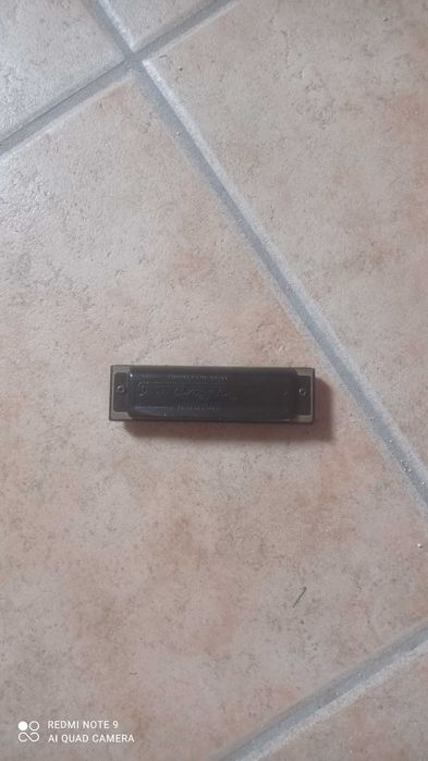 Gaita de beiços em bom estado