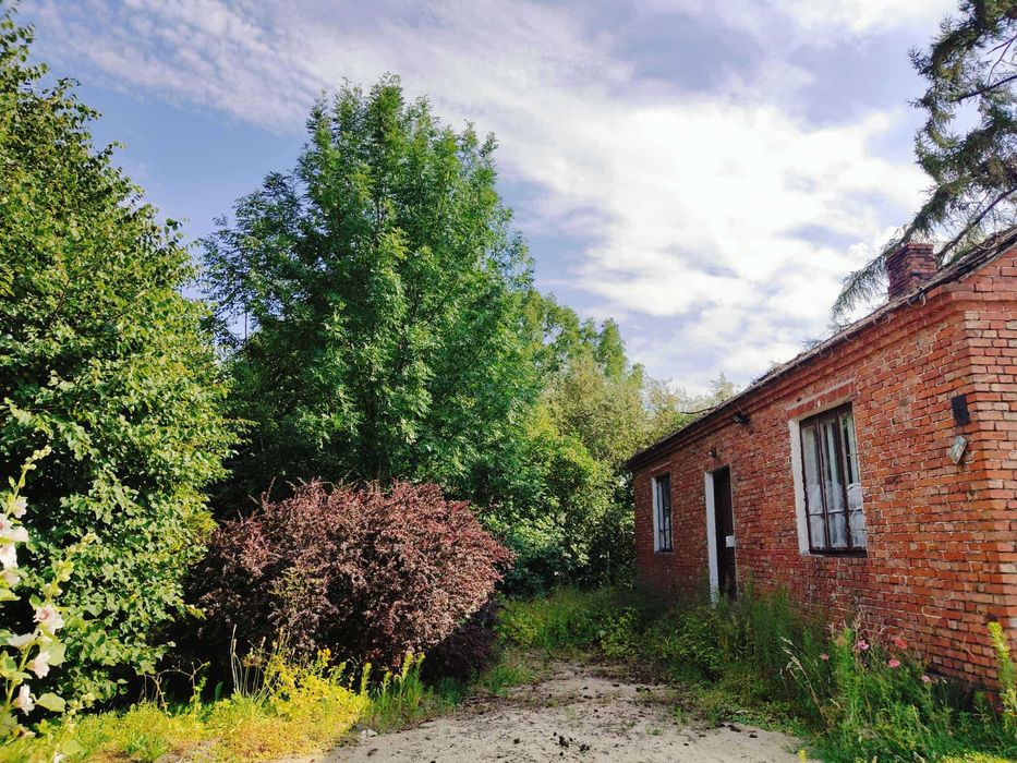 Siedlisko z murowanym domem  sad działka 0,25 ha  Gęś koło Parczewa