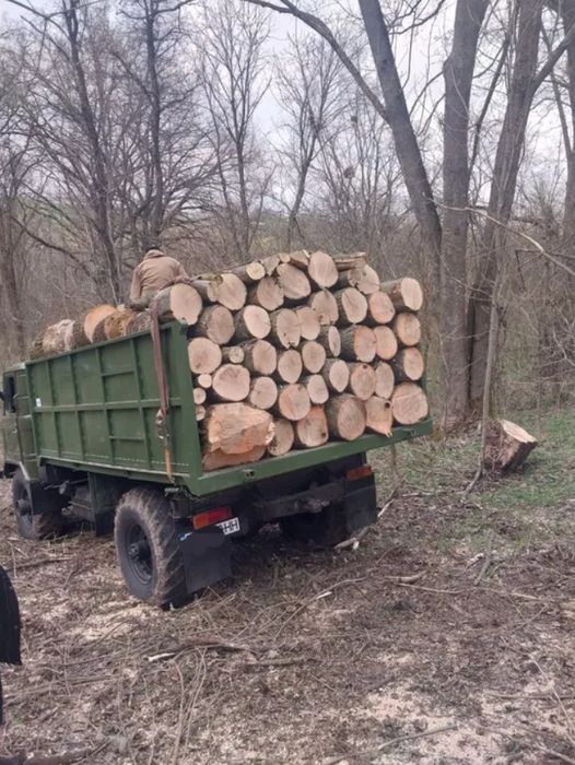 Дрова дубові напряму, від виробника, опт, роздріб. 3-5-6-10-19.5 м3