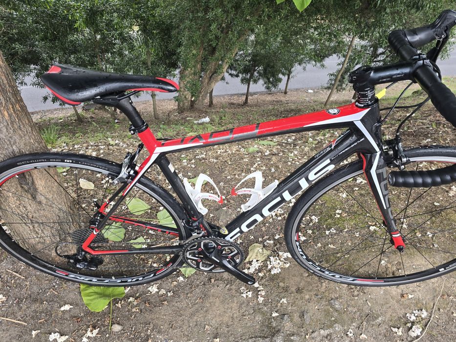 Focus cayo carbono 11x2v