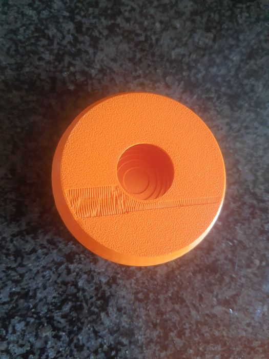 Pokemon go plus case