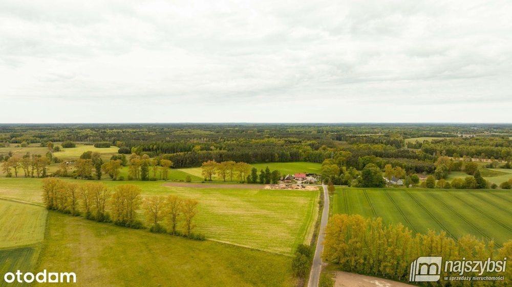 Dąbrowa Nowogardzka-działki z warunkami zabudowy