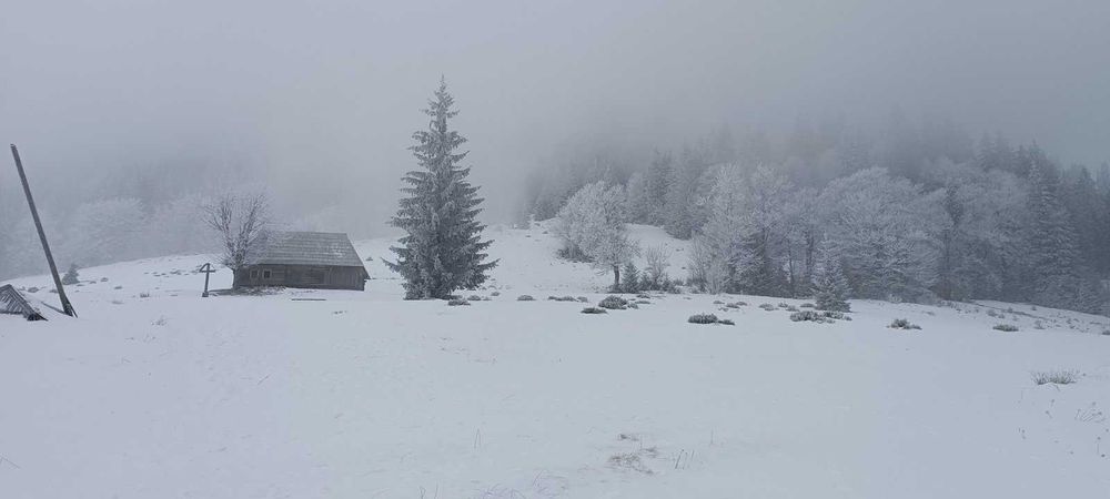 Земля в Закарпатті біля озера "Синевир"