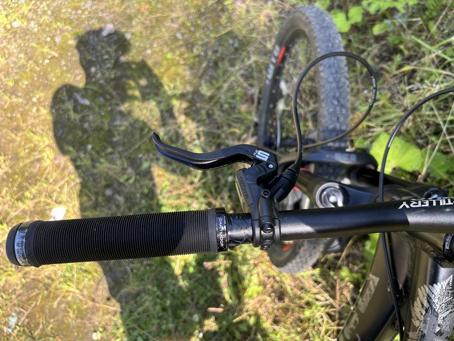 Dartmoor hornet 2022
