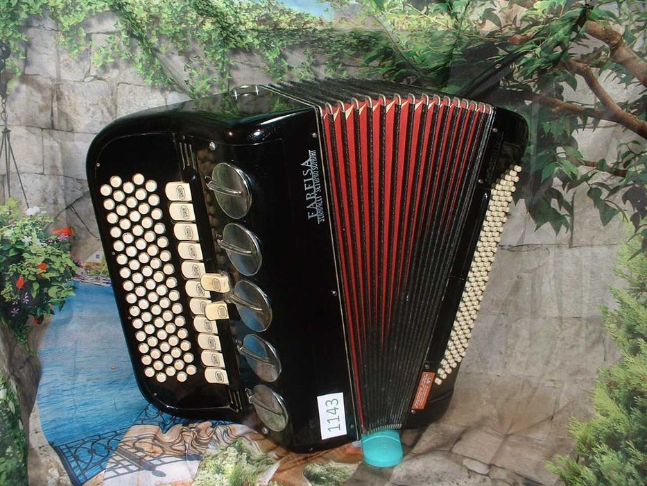 Promoção de Acordeões de concertinas