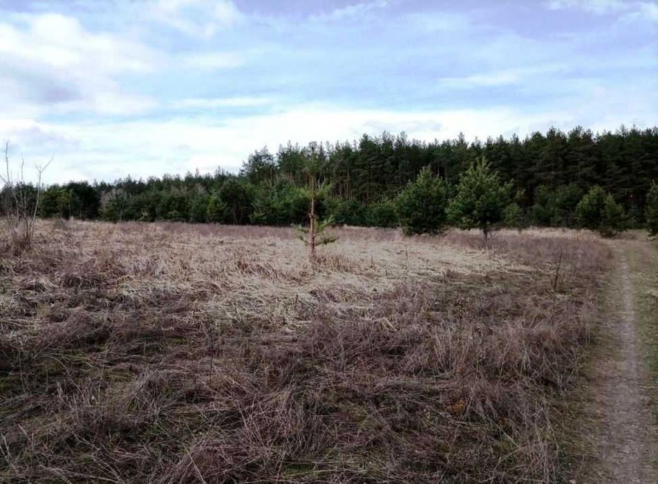 186 соток біля лісу в с .Ст. Петрівці, в 15 км від Києва