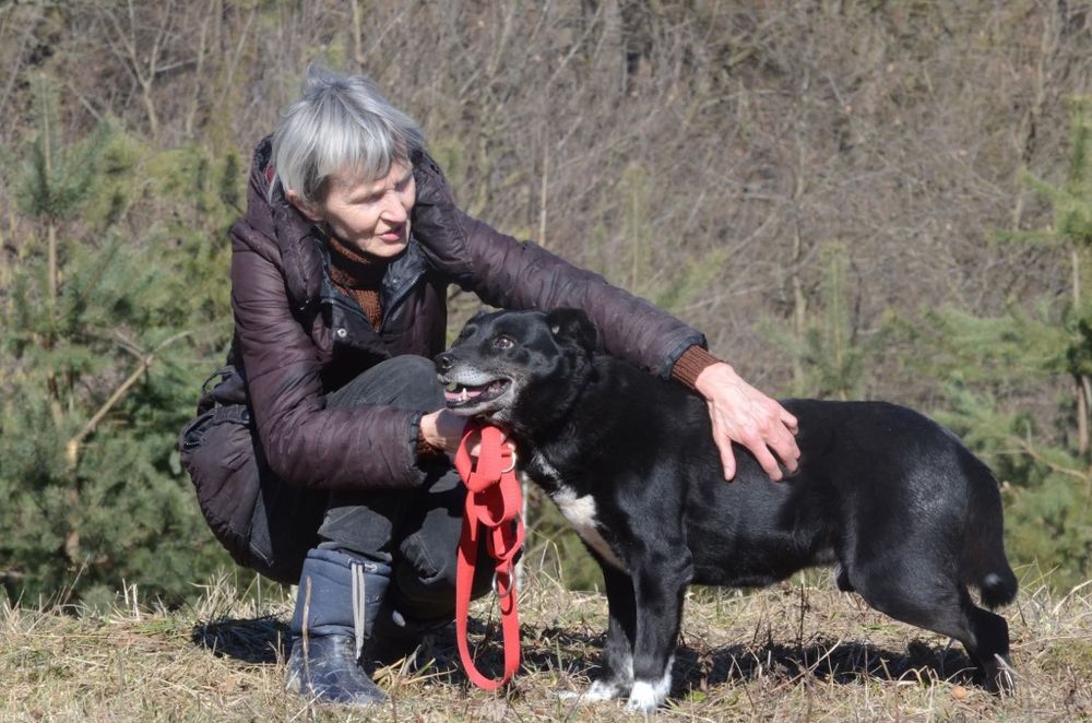 Cargo- do adopcji