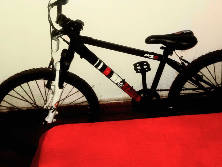Bicicleta rock richerd