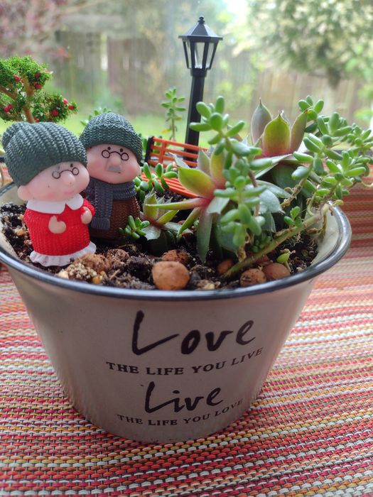 Квіткові композиції