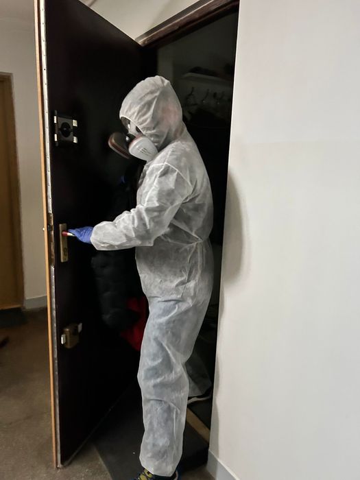 BOMBA!! Pluskwy Karaluchy Prusaki Rybiki Myszy Szczury USŁUGI I SKLEP