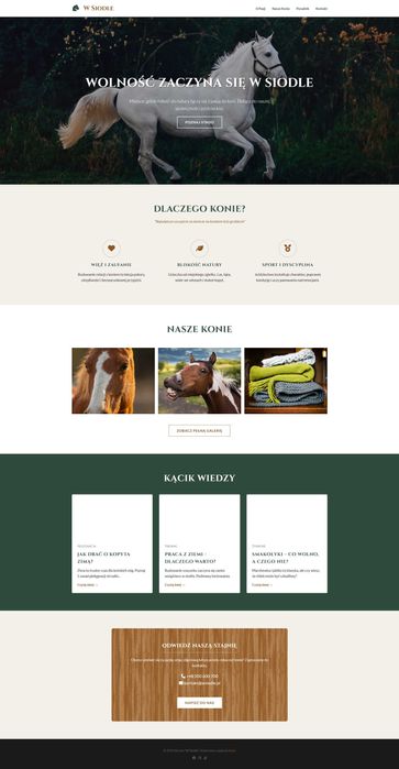 Profesjonalne Strony WWW | Sklepy Internetowe | Aplikacje Webowe | ITP