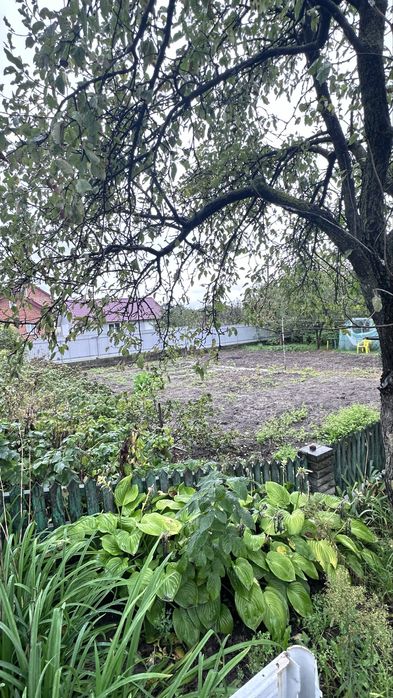 Продам будинок  в Лужанах