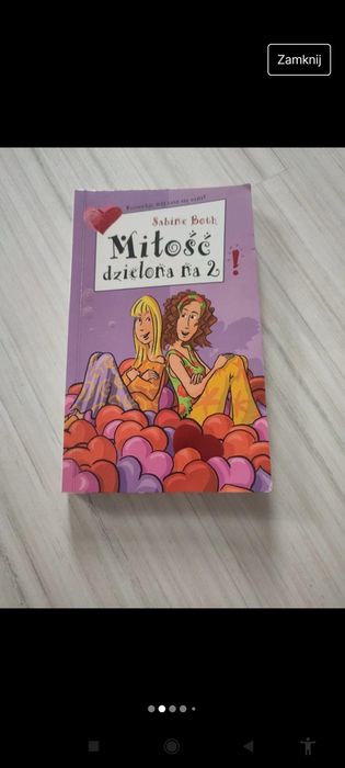 książka Miłość dzielona na 2 Sabine Both