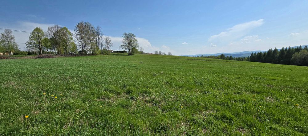 Widokowa działka budowlana z widokiem na Tatry - Widok 4