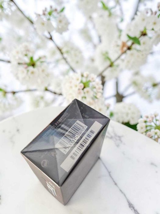 Terre d'Hermès Eau de Toilette 100 ml Терре Гермес  Чоловічі Парфуми Духи БЕЗ ПРЕДОПЛАТ