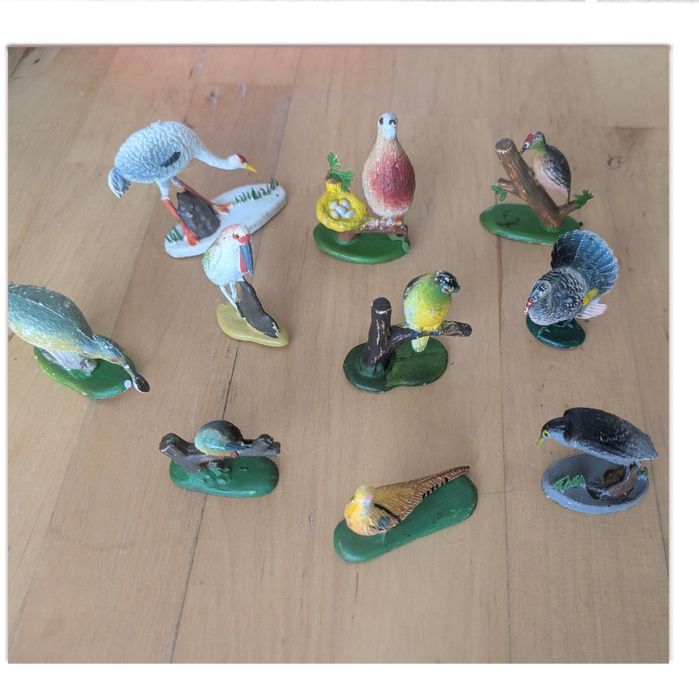 brindes Azur, aves