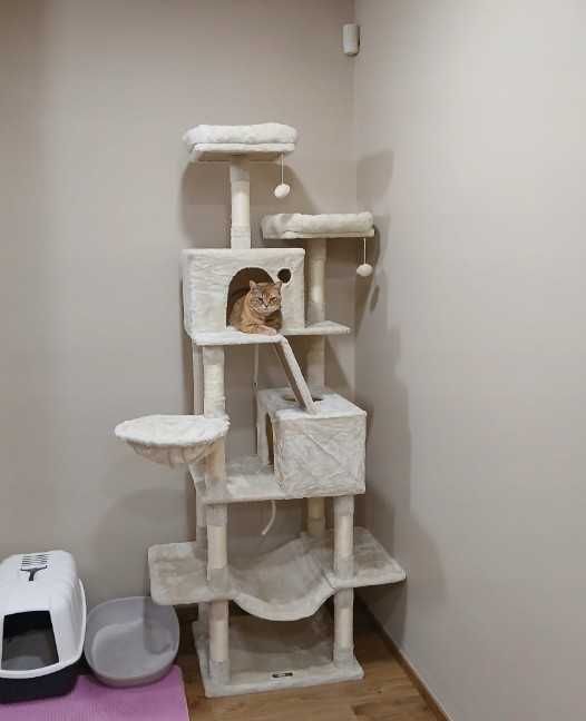 Drapak dla kota duży wysoki 206 cm domek legowisko sizal beżowy XXL