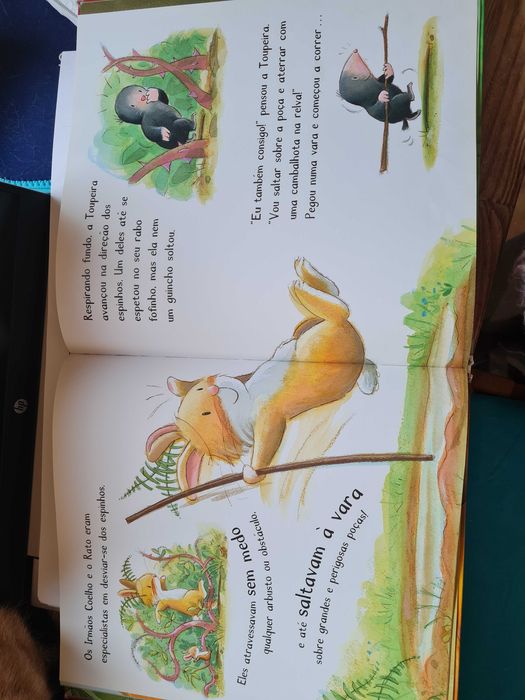 Livro Não mexer...o mel é meu