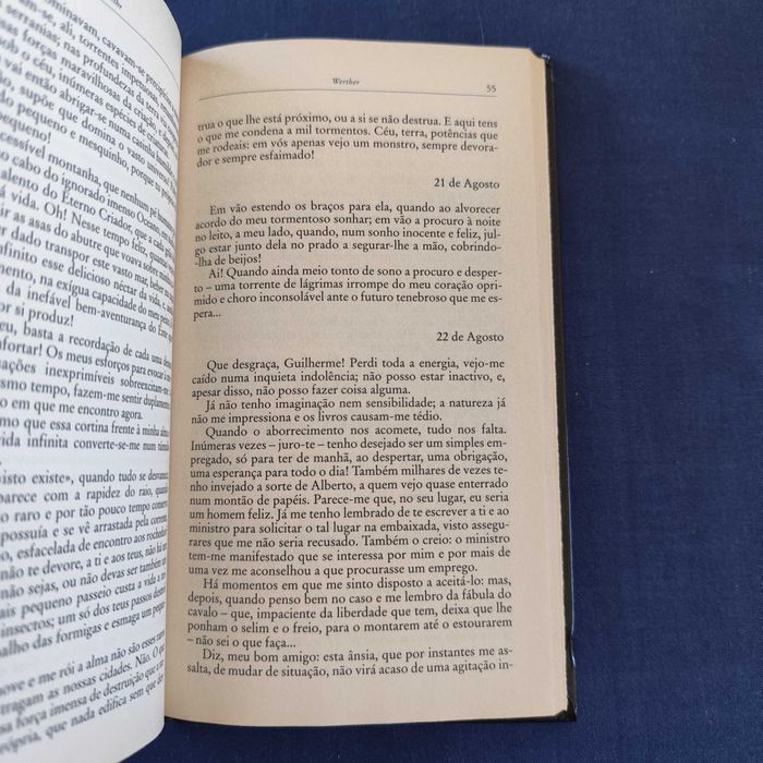 J. W. Goethe - Werther